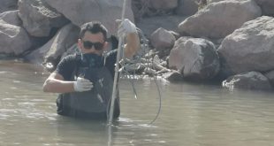 Verifican los caudales del río Colorado