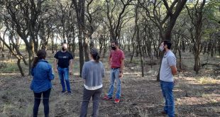 Crearán corredor de especies nativas en Pichi Huinca