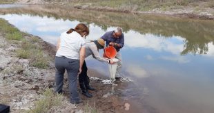 Monitoreo en la cuenca del Desaguadero-Salado-Chadileuvú-Curacó