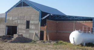 Proyectan exportar alimento balanceado para salmones a Chile desde La Adela