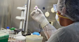 Bajaron los casos positivos de Covid, fueron 512, pero aumentó la positividad