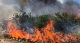 Suspenden la temporada de quemas, que se había extendido hasta el 12 de septiembre