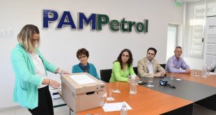 Dos ofertas en la licitación del área hidrocarburífera Medanito Sur